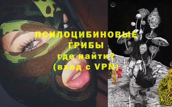 амф Няндома